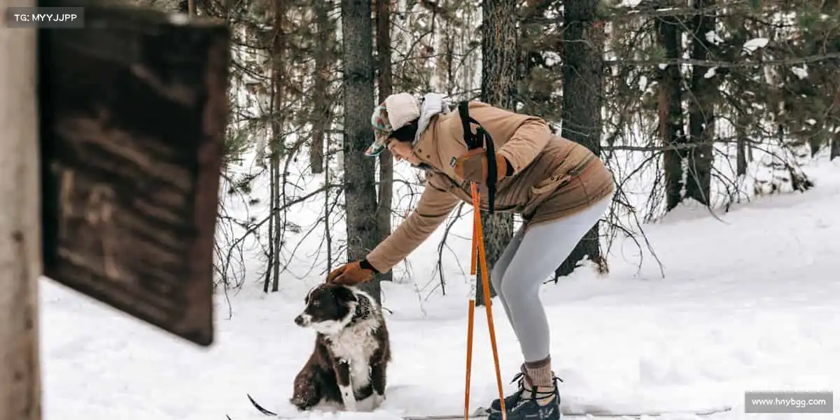 MILE米乐🏓小球转动大梦想,脚步丈量新高度 —— 你的体育舞台,等你登场!